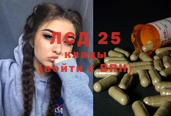 дживик Аркадак