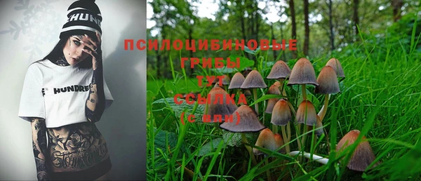 гидра Армянск