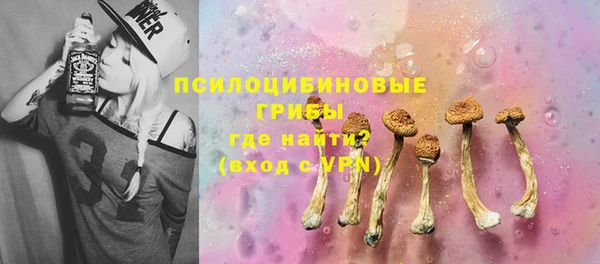 гидра Армянск